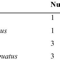 Species of viverrids recorded during the camera trapping survey in... | Download Table