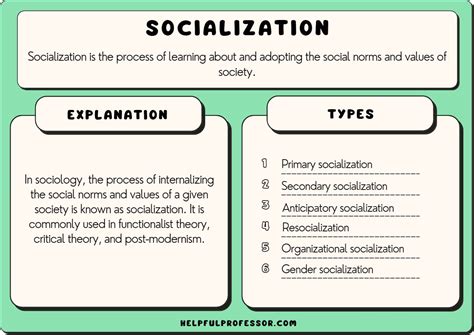 Socialization in Sociology (Definition, Types, 10 Examples) (2024)