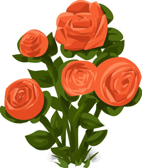 Rose Bush - Rose Bush Clip Art, Transparent Png - Original Size PNG Image - PNGJoy
