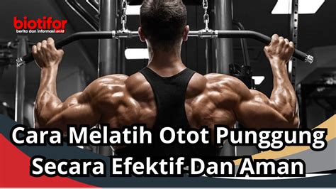 Cara Melatih Otot Punggung Secara Efektif Dan Aman - Biotifor