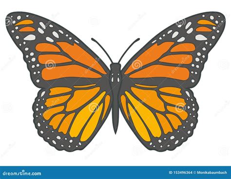 Drawing of an Orange `Danaus Plexippus` Monarch Butterfly Stock Vector - Illustration of clipart ...