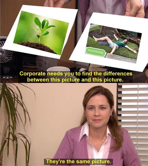 My first Photosynthesis meme :P enjoy! : r/MandJTV