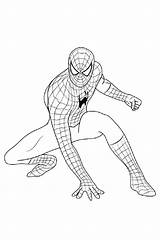Spider Man Coloring Pages  Free PDF Printables Xcoloring sketch template