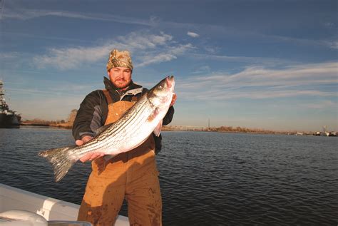 Wintertime Hunting/Fishing Options for North Carolina Sports - Game & Fish