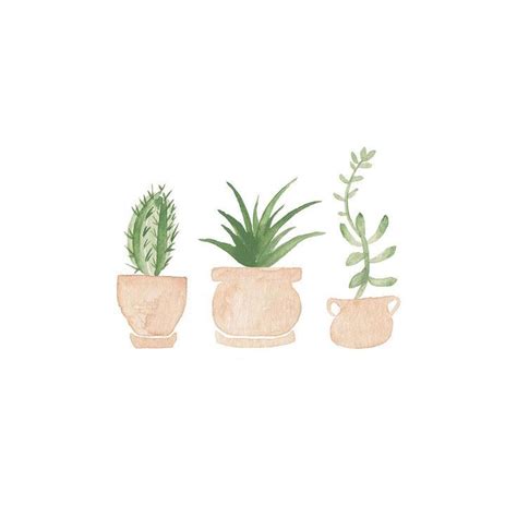 Cute Aesthetic Plant Drawings Find and save images from the plant ...