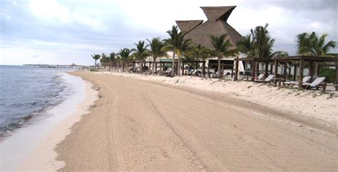 Seaweed and Sargassum Cleaning & Removal from Beach Sand