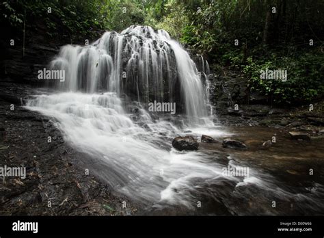 A natural waterfall inside the thick forest, Gavi eco tourism, Kerala ...