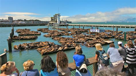 Travel Fisherman's Wharf: Best of Fisherman's Wharf, Visit San Francisco | Expedia Tourism