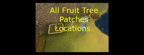 OSRS Fruit Tree Patches - Best OSRS Guides