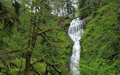 THE 15 BEST Things to Do in Tillamook - 2021 (with Photos) - Tripadvisor