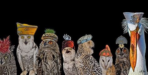 OWLS WITH HATS Photograph in 2021 | Art, Art prints online, Saatchi art