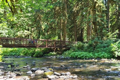 4 Most Accessible Waterfalls in Olympic National Park • Our Globetrotters