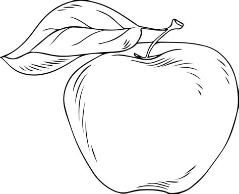 Apple Line Drawing