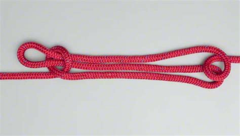 Sheepshank Knot – 1st London Colney Scouting Group