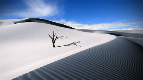 Black White Desert Sand Dunes HD Sand Wallpapers | HD Wallpapers | ID #72366