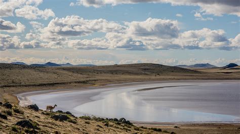 In Chilean Patagonia, Following a Track to the End of the World - The ...