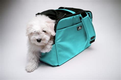 Sleepypod | Pet carriers, Airline approved pet carrier, Dog carrier