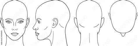 Female head vector illustration in front, back, top, side view Stock Vector | Adobe Stock