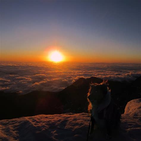 View of the sunrise from Pikes Peak : coloradohikers