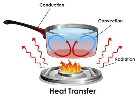 Free Vector | Diagram showing how heat transfer