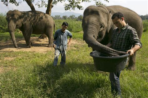 Pricey elephant poop coffee - Photo 1 - Pictures - CBS News