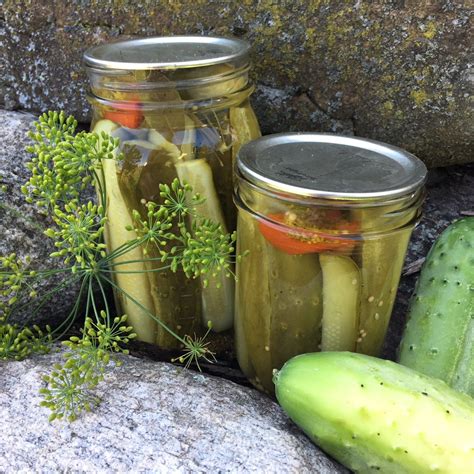 Kosher Dill Pickles | Home Canning Recipe | Recipe | Kosher dill ...