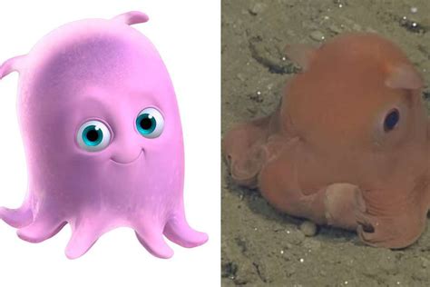 New deep-sea octopus looks just like 'Pearl' from Finding Nemo | deep ...