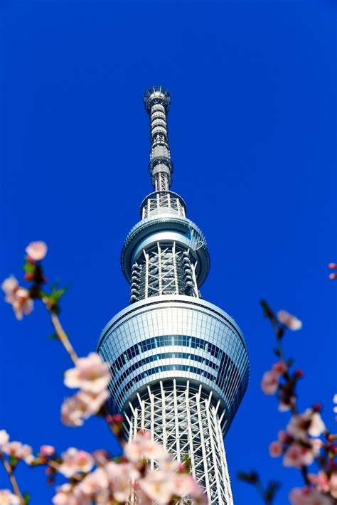 Landscape Photography: Tokyo Skytree tower: world's tallest structure