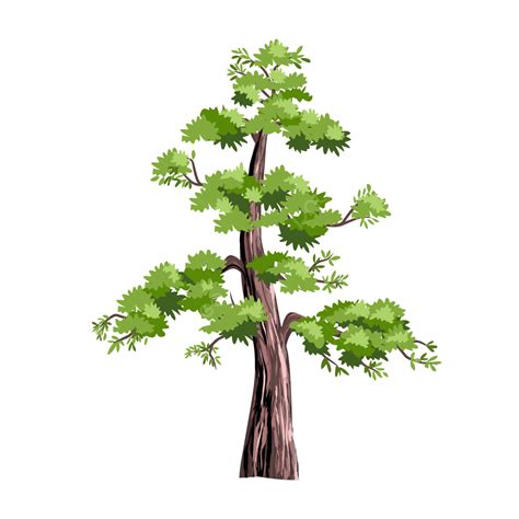 Redwood Vector Hd PNG Images, Redwood Tree Vector Illustration The Tallest In World, Redwood ...