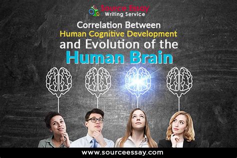 Human Cognitive Development And Evolution Of The Human Brain