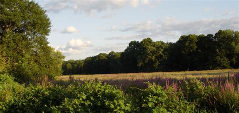 West Essex Park | Parks | Essex County Parks