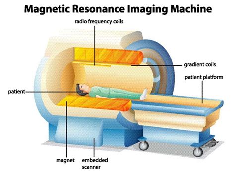 CT Scan आणि MRI मध्ये काय फरक आहे? जाणून घ्या दोन्ही गोष्टींसाठी एकच ...