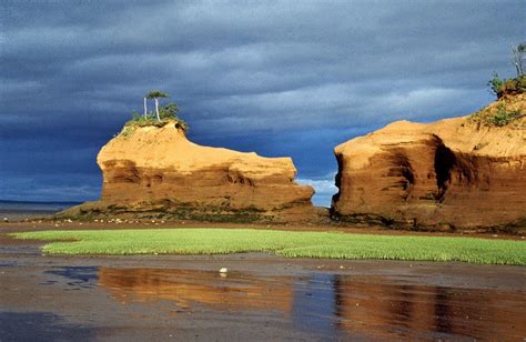 A Guide to Hiking in Fundy National Park (Everything You Need To Know)