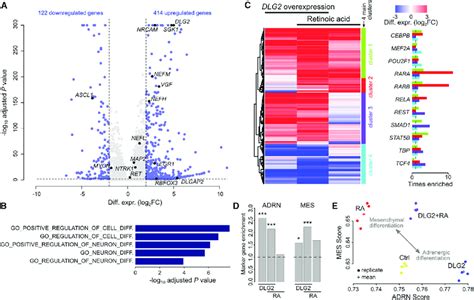 RNA-Seq Differential Expression Analysis of DLG2 Overexpression... | Download Scientific Diagram