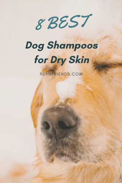 8 Best Dog Shampoo for Dry Skin | Dog Shampoo for Itchy Skin