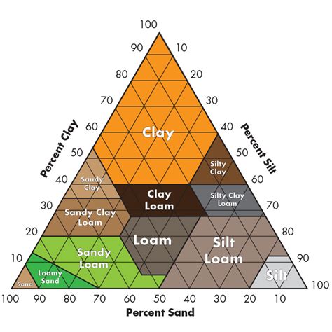 How to Determine Your Soil Texture | TruGreen