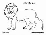 African Lion Coloring Pages sketch template