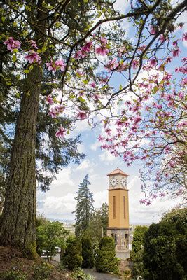 Corban University nationally recognized as a College of Distinction