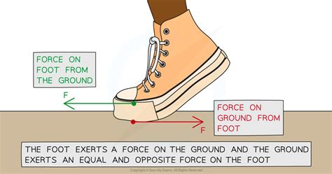 Edexcel A Level Physics:复习笔记2.12 Newton's Third Law of Motion-翰林国际教育