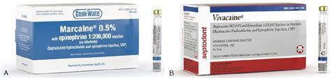 Bupivacaine hydrochloride--Metabolism, Excretion, Pediatric use and ...