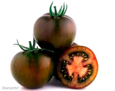 Tomato Kumato Extra Spain Producer - GAVÀ GRUP | Libertyprim