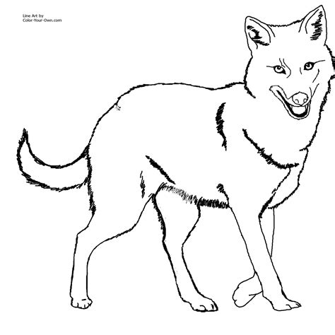 jackal drawing - Clip Art Library