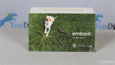 Embark Dog DNA Test Kit Review: Does It Work and How to Use It?