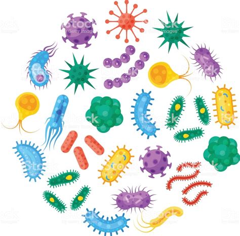 Bacteria Transparent PNG, Free Bacteria Clipart Images - Free Transparent PNG Logos