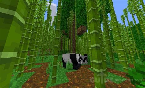 Bamboo Forest, Temple and Village seed for Minecraft 1.17.1/1.16.5