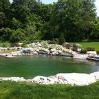 Take a Dip in a Swimming Pond - Traditional - Pool - Minneapolis - by Southview Design