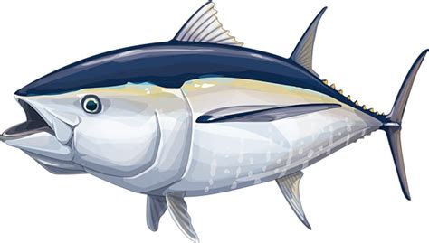 Gambar Ikan Tuna Sirip Biru - GAMBAR TERBARU HD