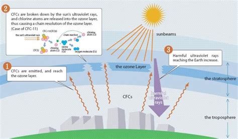 The Ozone Hole