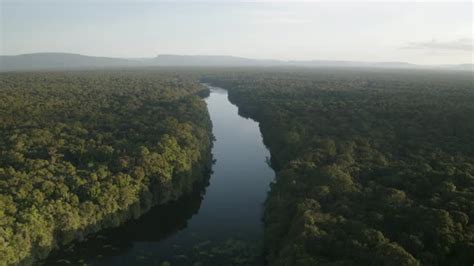 Amazon River Drone View, Stock Footage | VideoHive