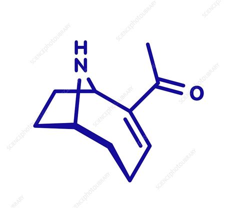 Anatoxin-a molecule, illustration - Stock Image - F030/4905 - Science Photo Library